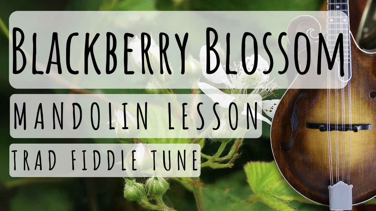 Blackberry Blossom Mandolin Lesson Pickin Lessons